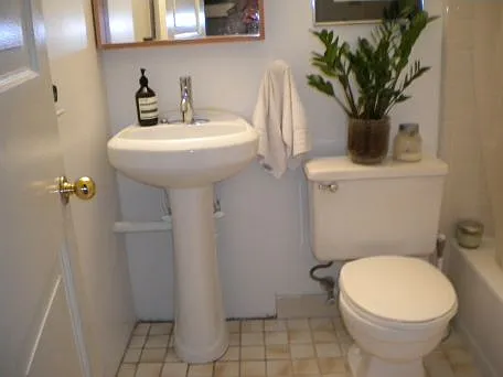 2123 Spruce St #4B — Photo 6