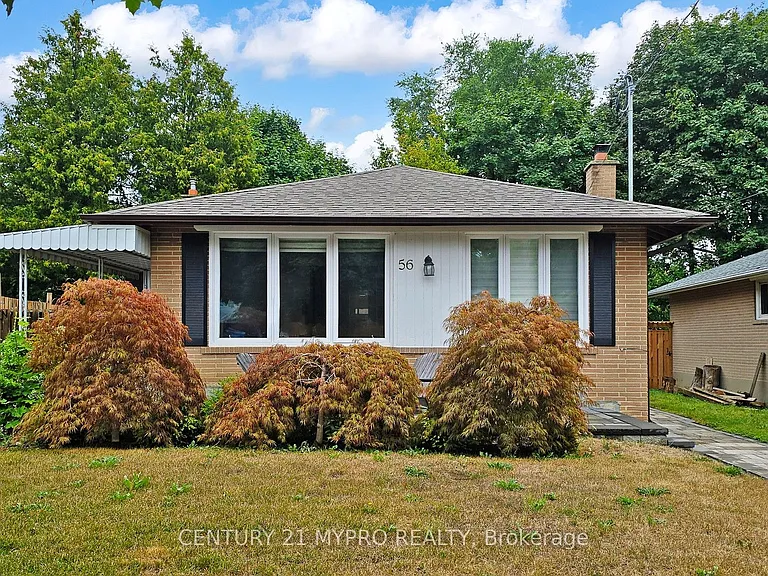 56 Bailey Cres #BASEMENT — Photo 1