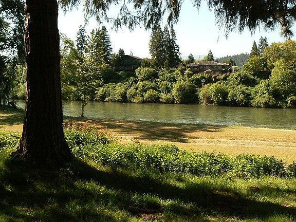 Rogue River View