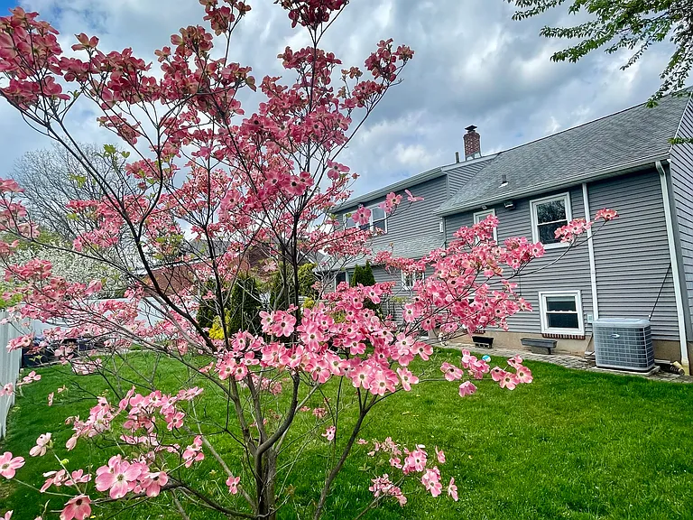 266 Frances St — Photo 29