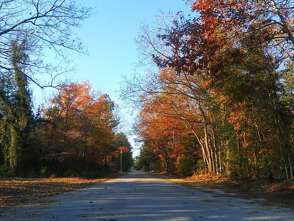 Pine St. - Property on right
