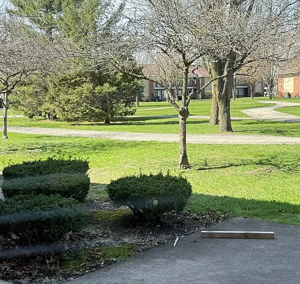 1119 E Algonquin Rd #2 — Photo 14
