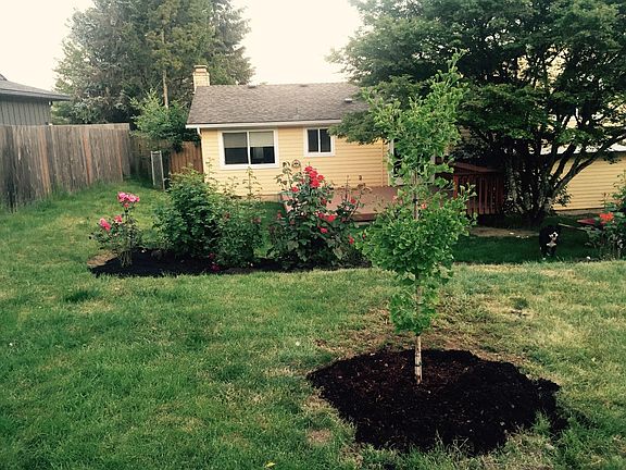 One side of back yard and house