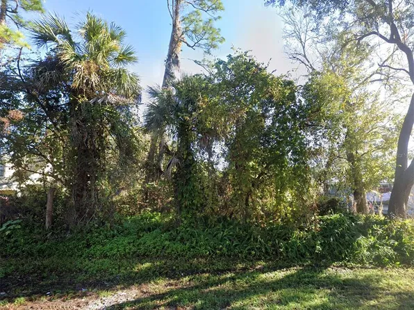 2311 UNITY TREE DR LOT 11329, EDGEWATER, FL 32141