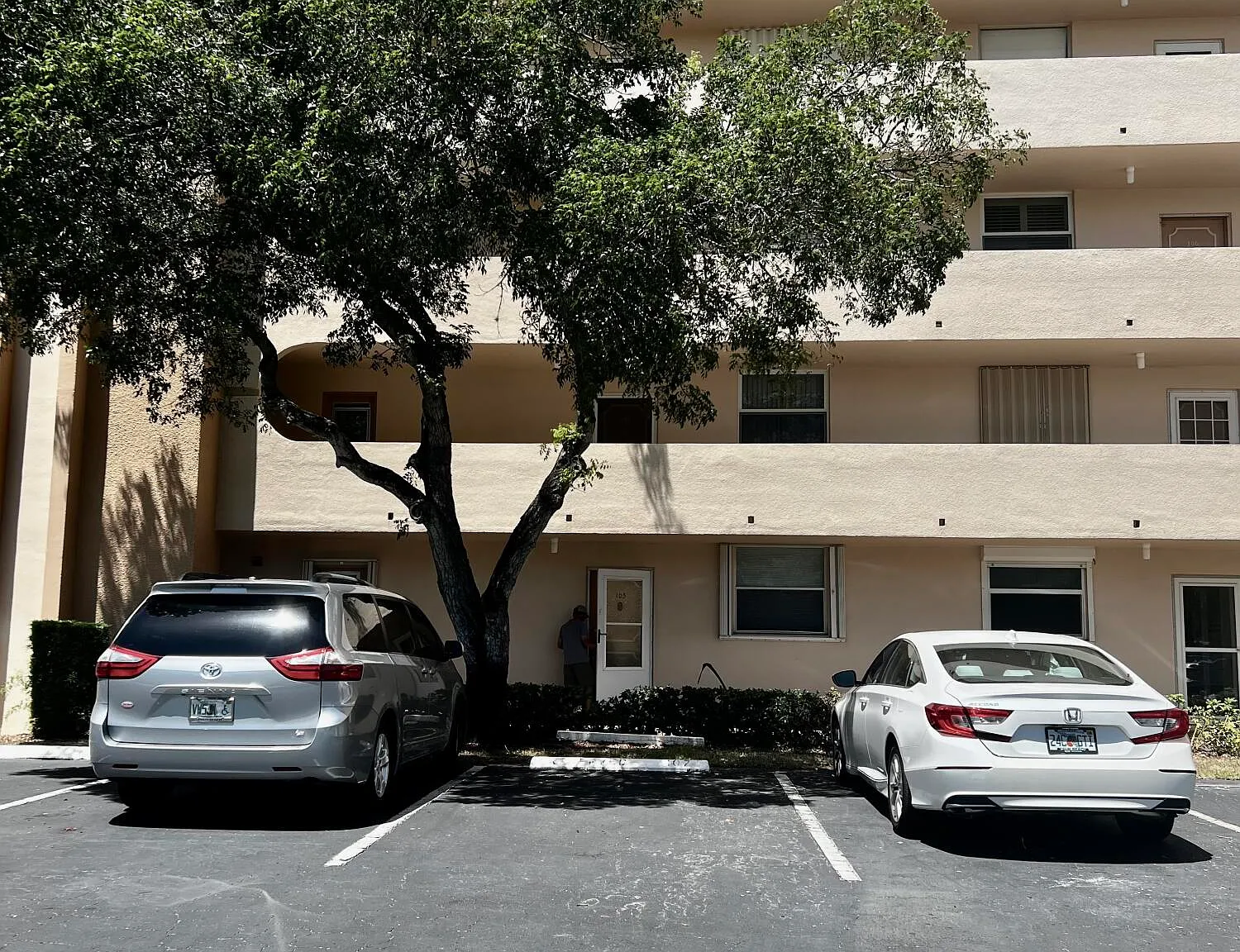 3 bed, 2.0 bath, 1300 sqft, $2,800 — Photo 3