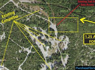 Holopaw Groves Rd, Saint cloud, FL 34772