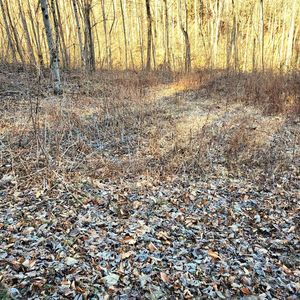 0 River Rd, Franklin, NC, 28734