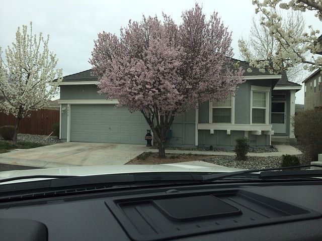 1st image of 5413 Desert Peach Dr