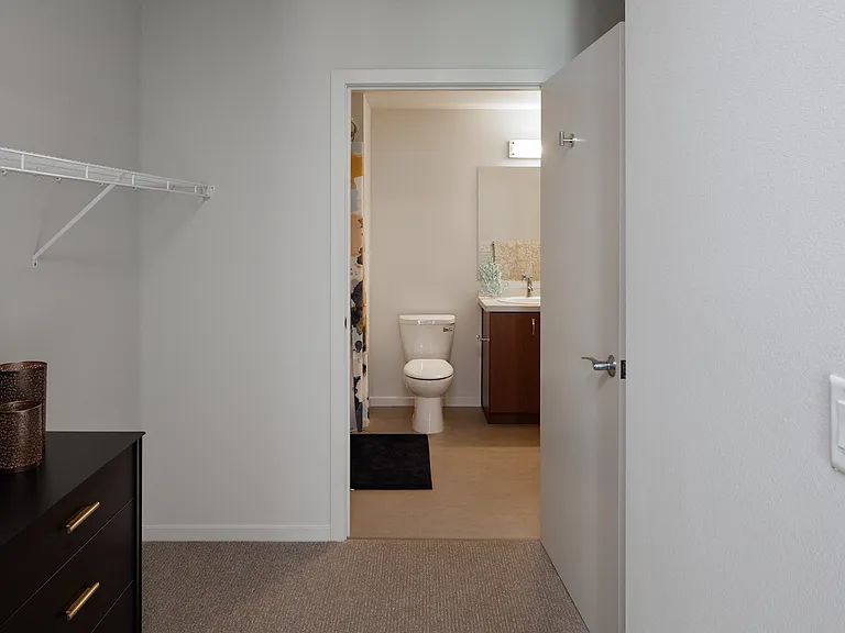 Grant Park village shot of closet leading to bathroom