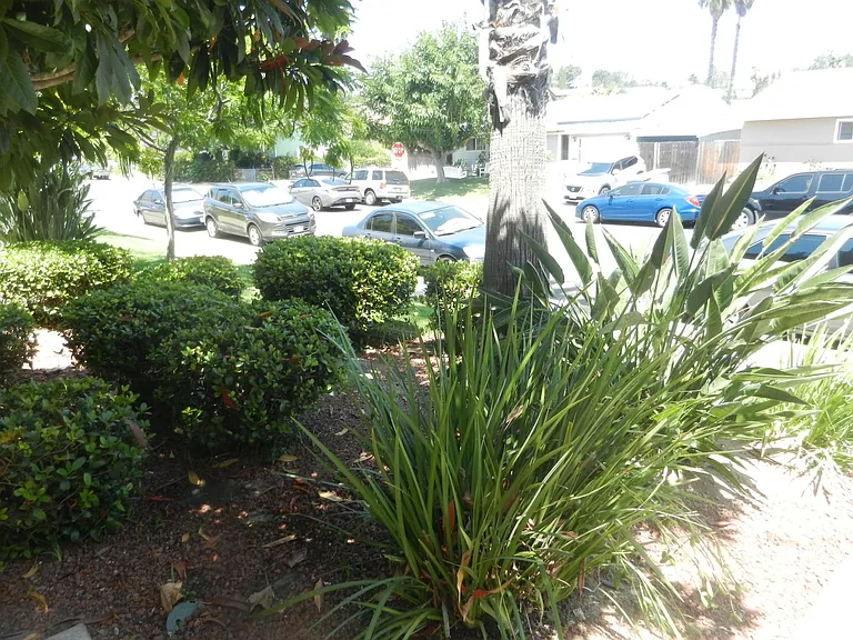 12719 Robison Blvd #15 — Photo 28
