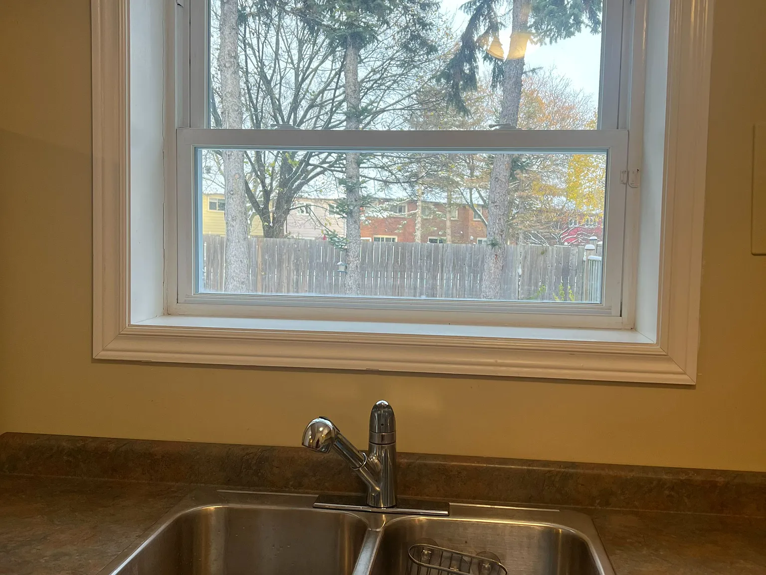 1 bed, $1,650 — Photo 4