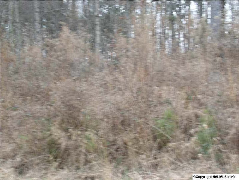 1st image of Sparks Creek Dr