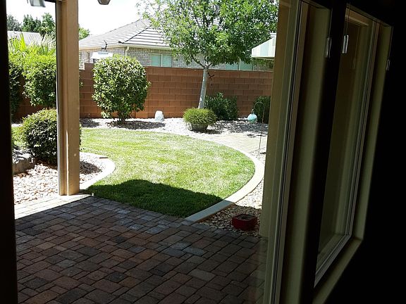 Part of back yard