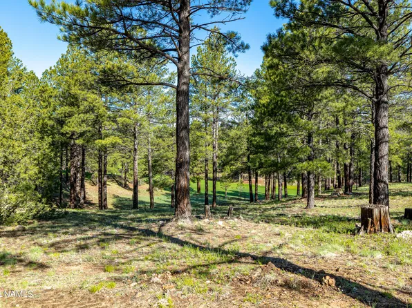 3631 E Woodland Dr Lot 369, Phoenix, AZ 85048