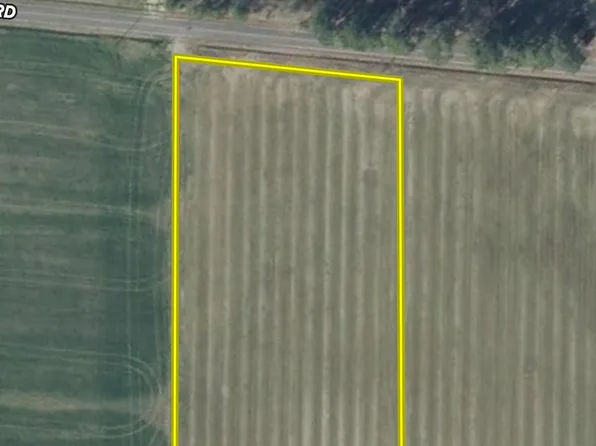 Cottingham Rd Tract C, Clio, SC 29525