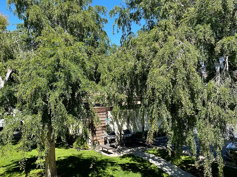 Coast Apts — Photo 15