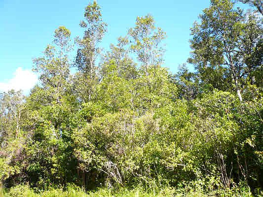 1st image of Oneloa St Lot 6
