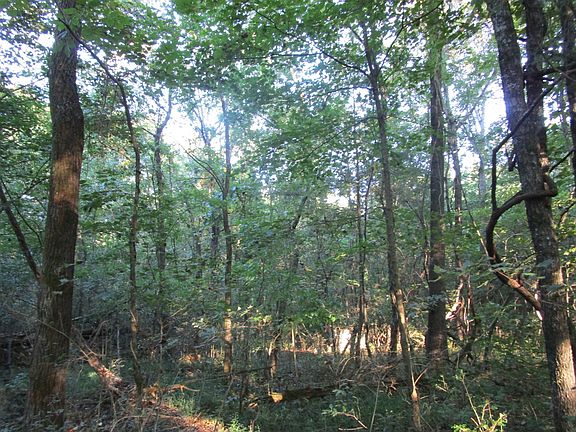 5th image of 16361640 County Road 560