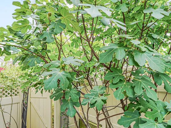 28 Brookside Loop image 49 of 60