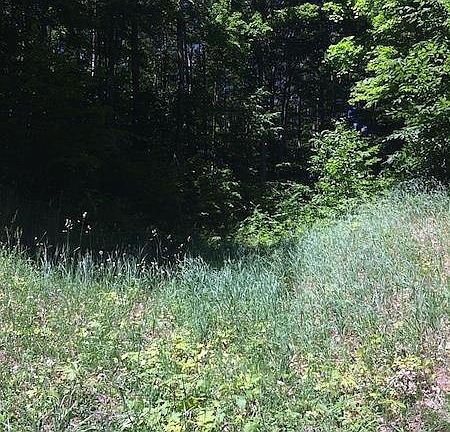 3rd image of W Hidden Birch Dr