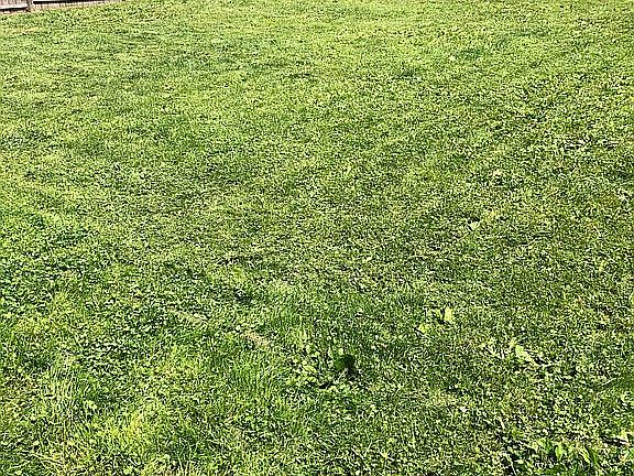 Huge fenced-in yard!