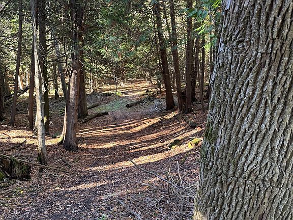 4th image of 627383 Side Road 15