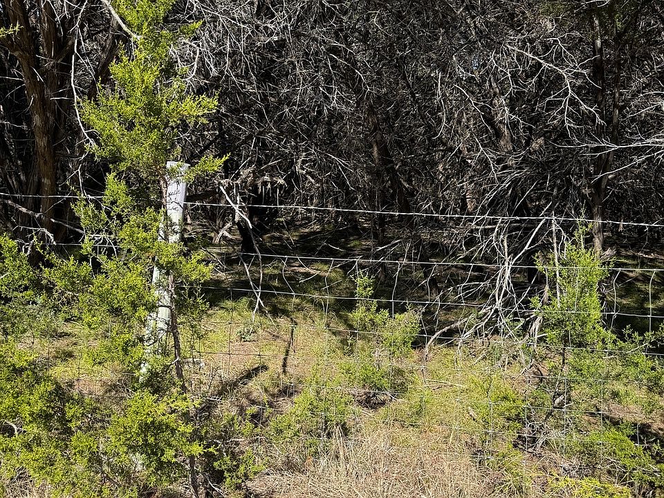 2nd image of (LT) 395 Forest Trail Drive LOT 395
