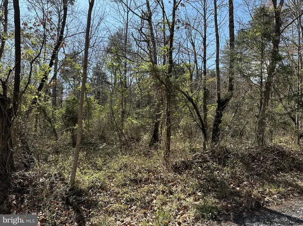 Mountain Run Rd, Luray, VA 22835