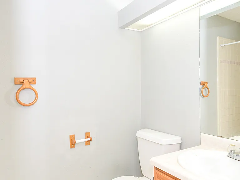 314 Scotch Rose Ln — Photo 15