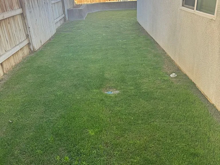 5302 Ciudad Nuevo Dr — Photo 7