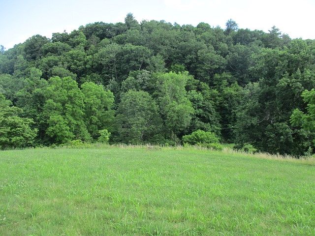 2nd image of 4227 Boyd Rd