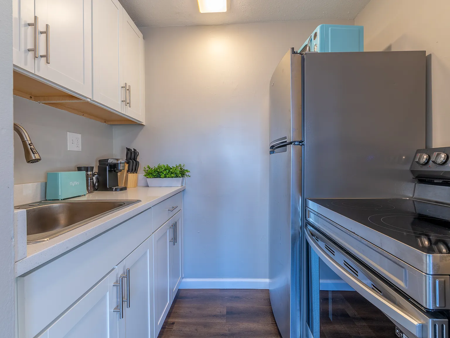 1 bed, 750 sqft, $895 — Photo 4