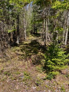 Lot 94 Yoho Head Road, Machiasport, ME, 04655