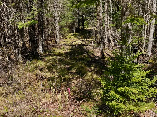 Lot 94 Yoho Head Road, Machiasport, ME 04655