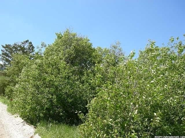 2nd image of 214 Juniper Drive #Blw C491