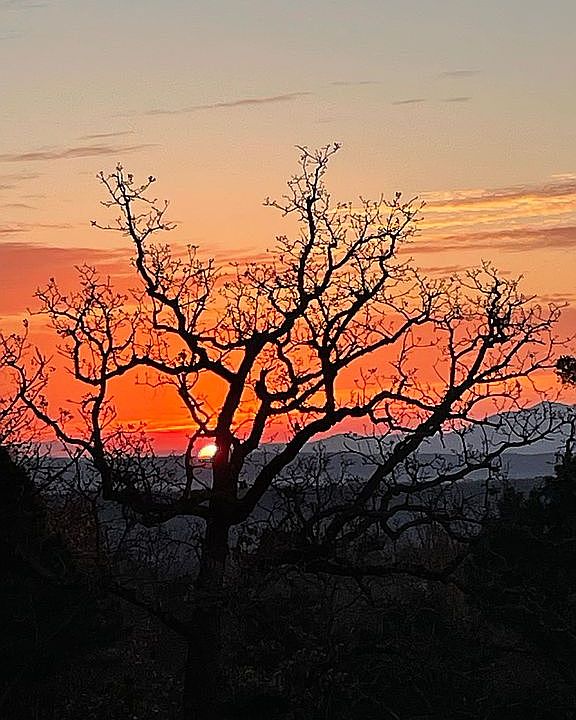 Sunset from the yard 