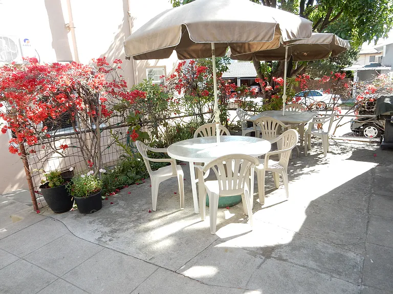 Shared outdoor patio area