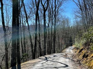 LOT 45 Leatherbreeches Dr, Tuckasegee, NC 28783