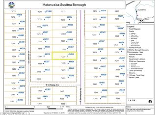 49404 S Bendapole Rd, Willow, AK 99688
