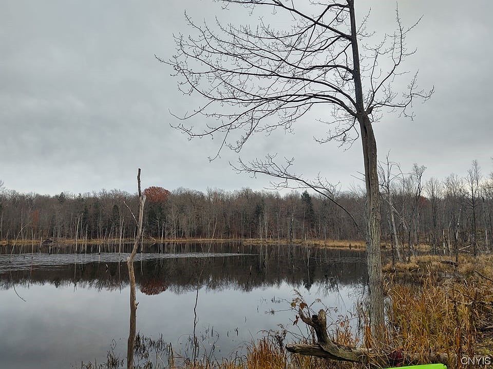 1st image of 0 Us Highway 11