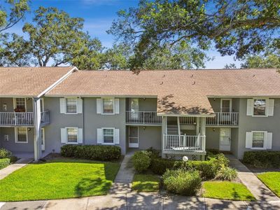 1420 Oakhill Dr #203, Dunedin, FL, 34698