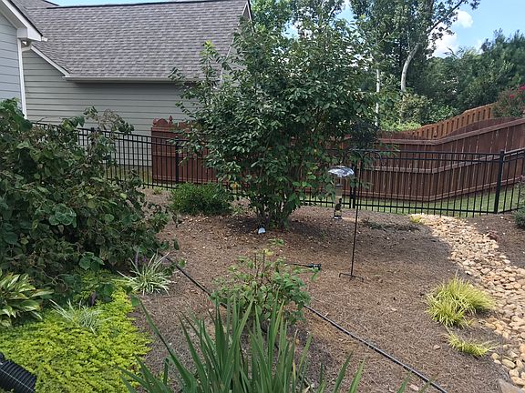 Backyard Landscaping