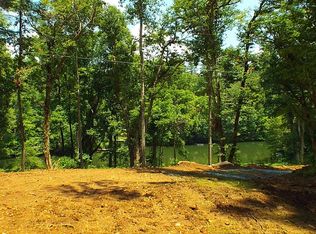 W Buffalo Rd, Robbinsville, NC 28771