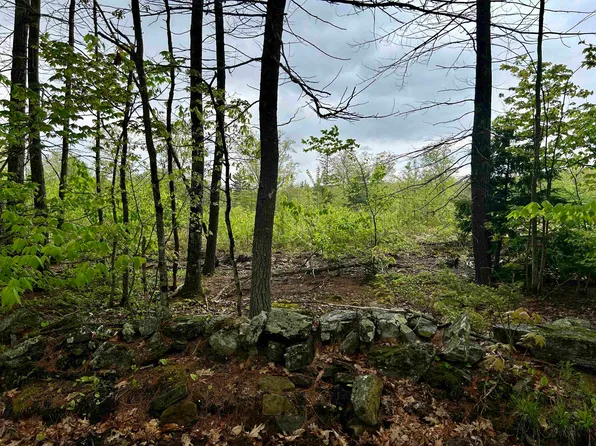Farm Road, Surry, NH 03431