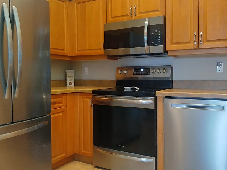 1643 Areca Palm Dr — Photo 3