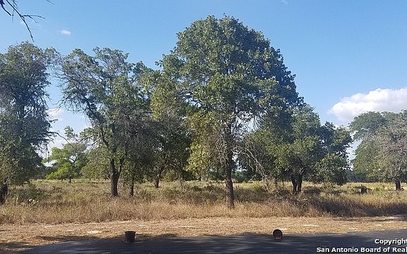 5th image of 316 County Road 6768