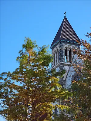 Rented by 18 REALTY | media 15