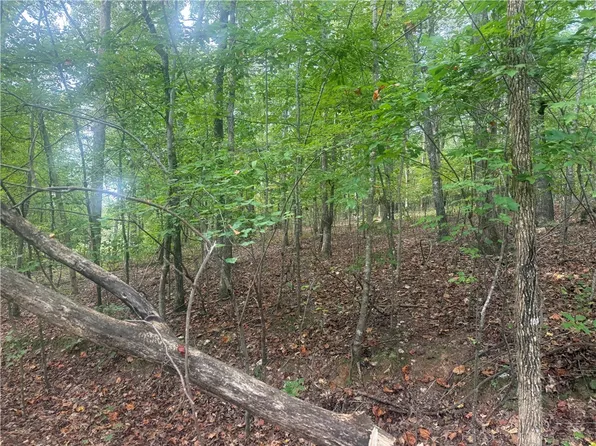 County Road 52 Coosa County Road 50, Goodwater, AL 35072