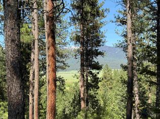 3951 Hot Springs Rd #4, New Meadows, ID 83654