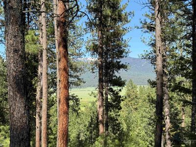 3951 Hot Springs Rd #4, New Meadows, ID, 83654